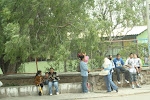 IMG_7490.JPG