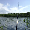 dsc02877.jpg