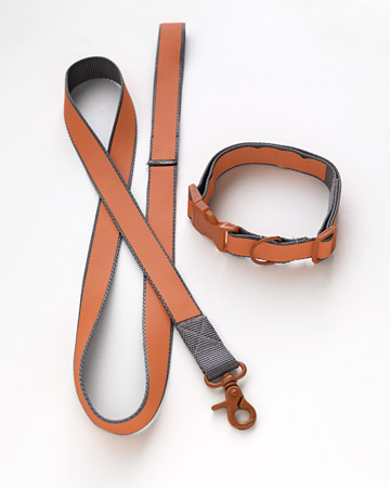 Perhaps not the funnest gift for pooch, but one that will help keep her safe and sound on evening walks. Adding reflective power to pooch's collar and lead can be life-saving...