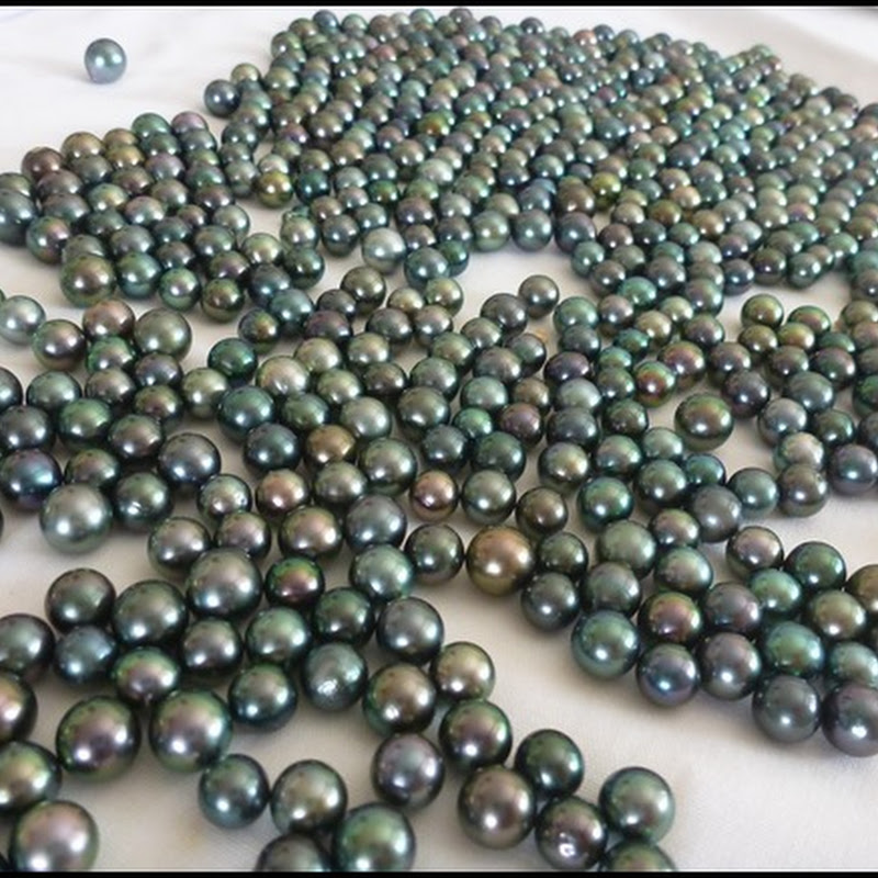 Tahitian “Black” Pearls
