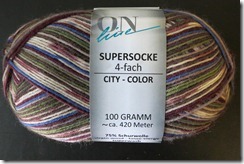 Online Supersocke 100 - color 1485