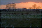 Sunset über dem Teufelsmoor