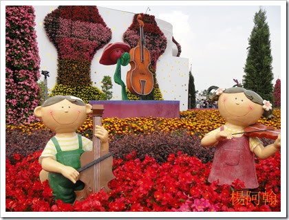 1119 146 - 台中新社花海 1119 146 - 台中新社花海