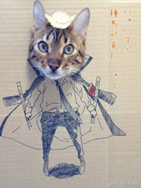Best Cat Cosplay Ever!