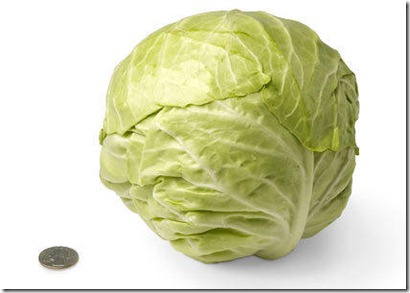 30-green-cabbage[1]