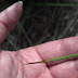 2012-05-26_10-50-11_119