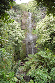 DSC_0354.jpg