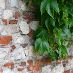 P1000794.JPG