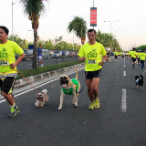 Pet Express Doggie Run 2012 Philippines. Jpg (63).JPG