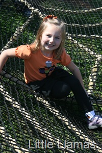 [IMG_0913%255B5%255D.jpg]