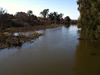 June 2 - Murrumbidgee River, Jugiong, NSW