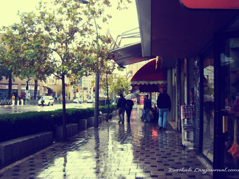 ЗИМНЯЯ ХАЙФА