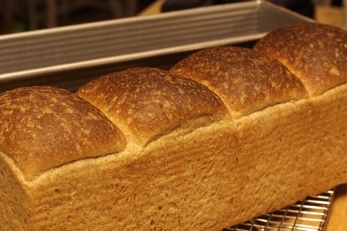 [whole-wheat-toast_046%255B5%255D.jpg]