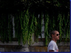 verde oscura pubblicità, giovinco verde oscura pubblicità, giovinco