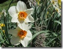 IMG_3751 IMG_3751