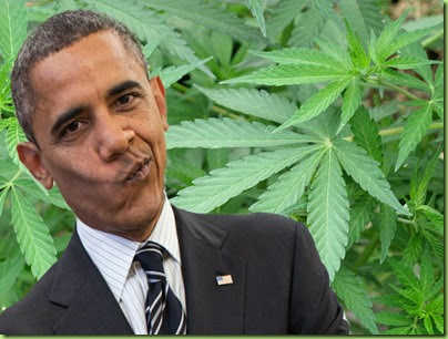 obama-weed
