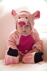 Piggy-1edit