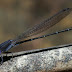 20130608_206