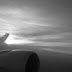 R0028335.JPG