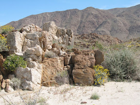 Anza 556.jpg