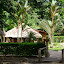 Little tiki bar hut place with cocktails