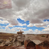 Rainbow Forest -Petrified Forest National Park - Flagstaff, AZ