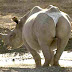 fotos-divertidas-ii-1.jpg