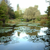 IMAG0785.JPG