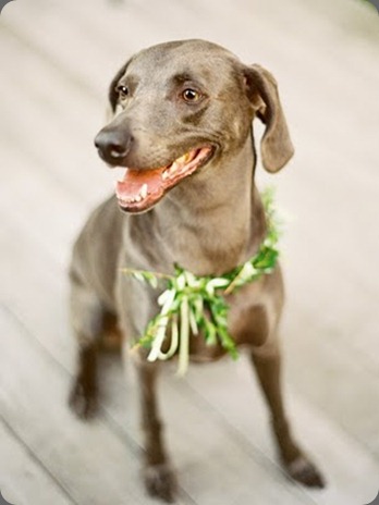 007266-R1-E016 azalea designs