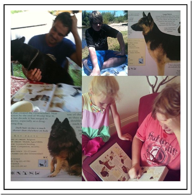 dog book jan 2012