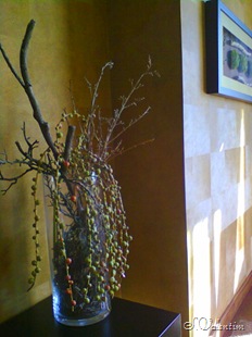 [foto0023%255B4%255D.jpg]