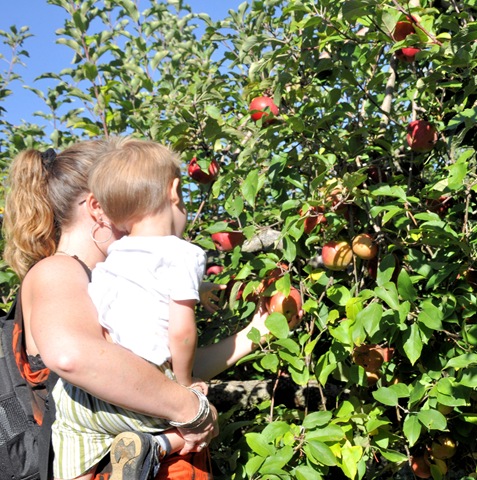 [Finley%2520and%2520Mommy%2520Picking%2520Apple%255B4%255D.jpg]