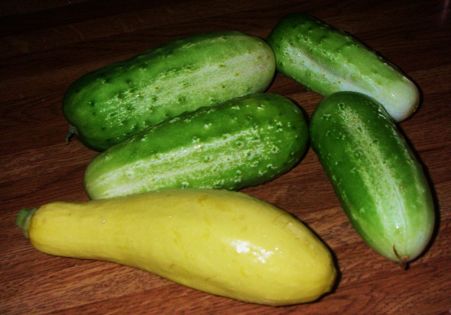 [Garden8%255B3%255D.jpg]