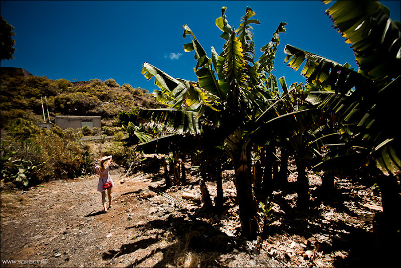 013 www.ychilov.ru foto tenerife.jpg