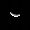 IMG_1151.jpg