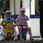 P7110242.JPG