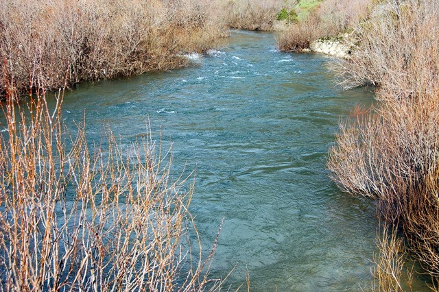 [leito%2520do%2520rio%255B5%255D.jpg]