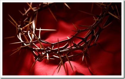 crown-of-thorns