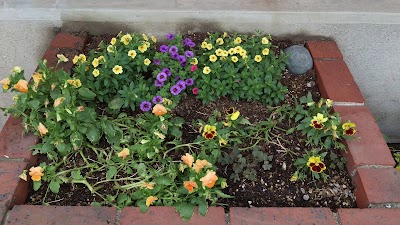 2014-07-15 08.30.16.jpg