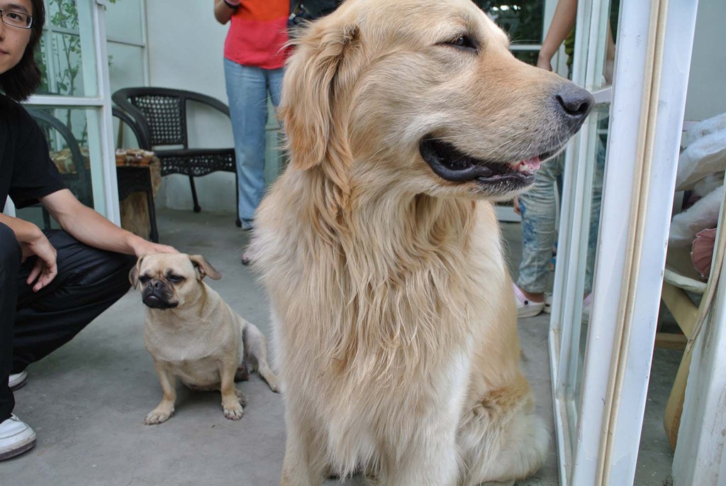 [DSC_3900%255B4%255D.jpg]