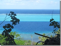 rehuahine 007