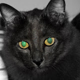 web-DSC00711.JPG
