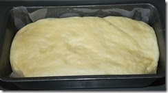 IMG_4581 IMG_4581