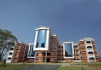 Central Complex