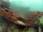 Fleur de lys: part of the hull