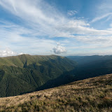 _DSC0376.jpg