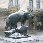 l016.jpg
