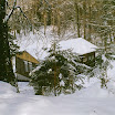 img-Y03151200-0008.jpg