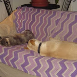 Grace and Sam