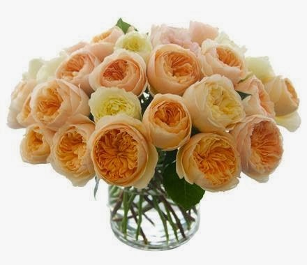 [just-roses-michael-george-flowers155%255B1%255D.jpg]